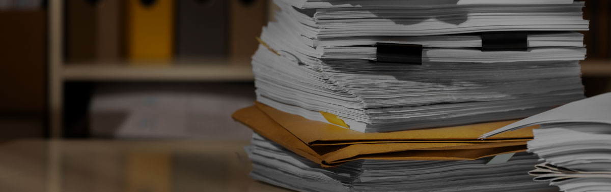 Documentation Page Thumbnail